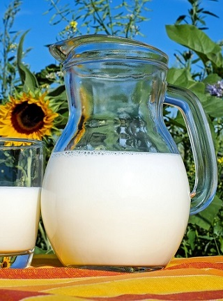 Június 1. – A tej világnapja