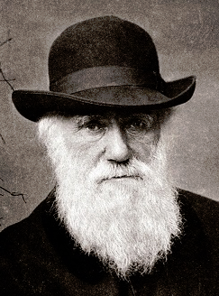 140 éve hunyt el Charles Darwin (1809–1882)  angol természettudós