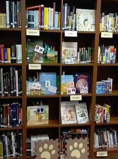 Az olvasótermekbe 2025 novemberében beválogatott könyvek