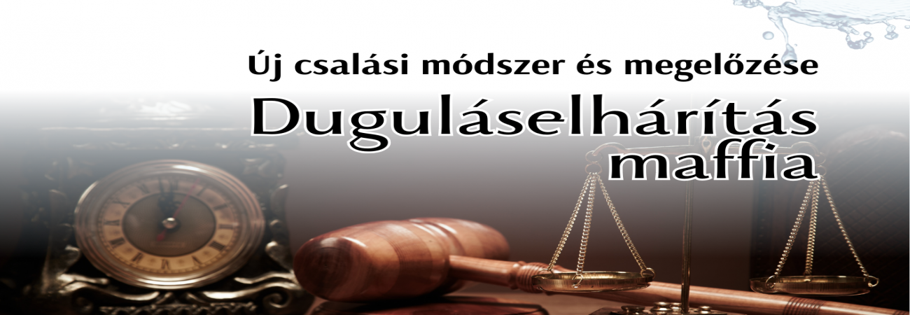 Dr. Vágvölgyi Ágnes: Duguláselhárítás maffia – új csalási módszer és megelőzése c. előadása