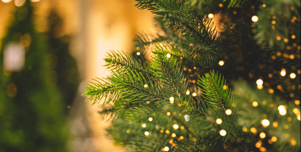 Karácsonyi hangolódás  a KSH énekkarral